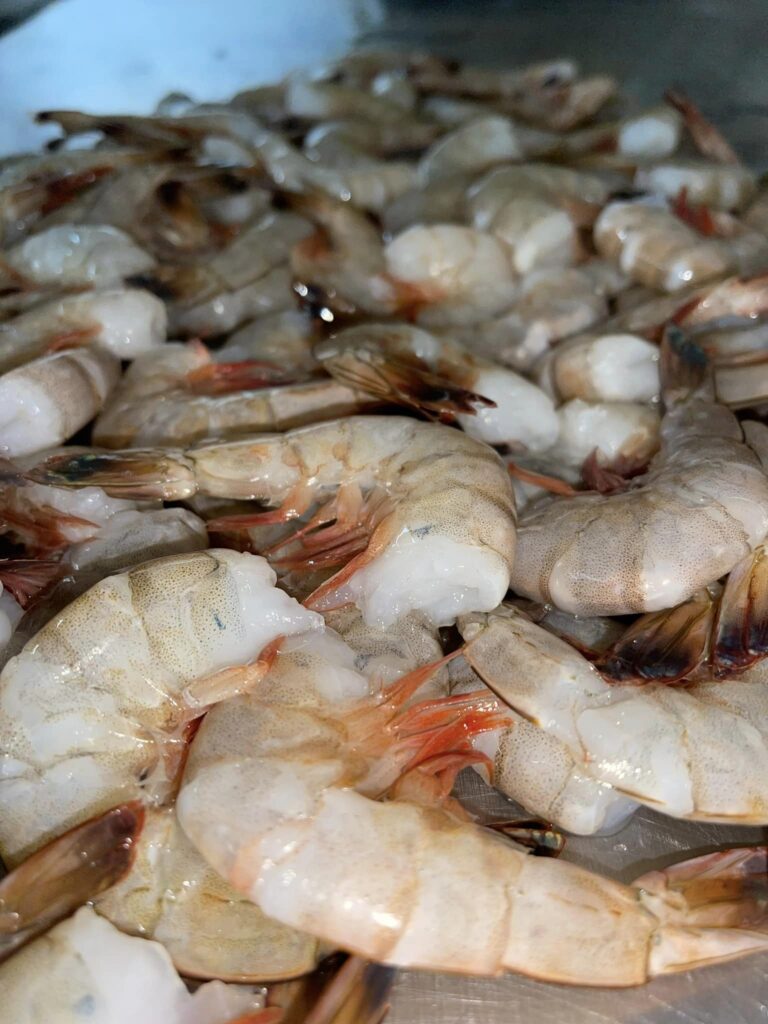 5lbs 21 25 Headless White Gulf Shrimp Sea Gold Foods